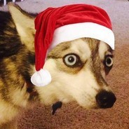 Кракен ссылка баскетбол трансляции матчей