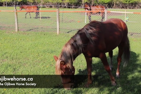 Кракен онлайн новости спорта