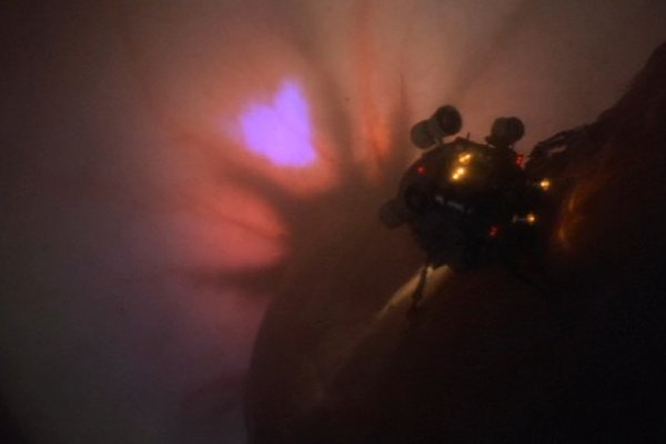 Kraken зеркало трансляции матчей