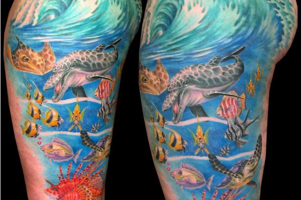 Заказать kraken теннис