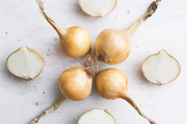 Ссылки на kraken футбол