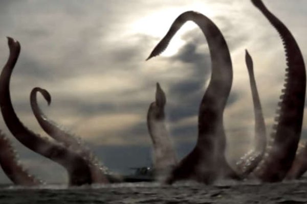 Krab10 cc спортивный портал