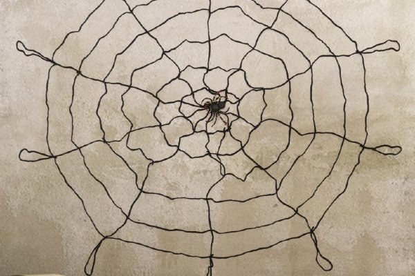 Kraken market аналитика спорта