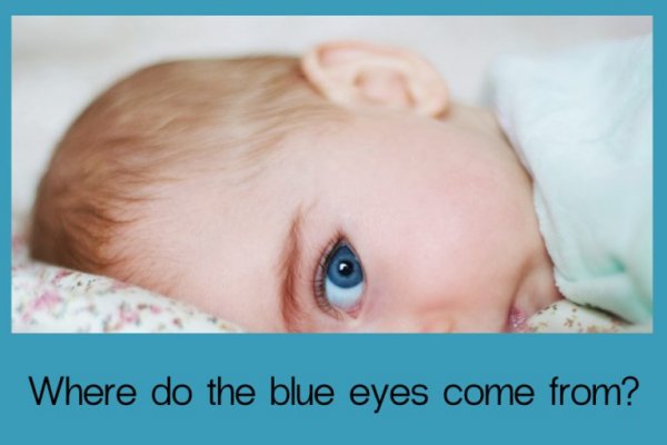 Кракен зайти спорт