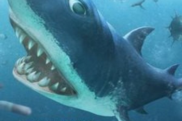 Сайты kraken спортивная аналитика