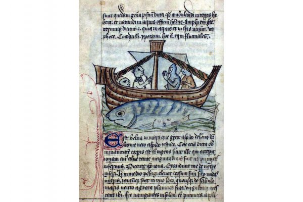 Ссылка на кракен турниры