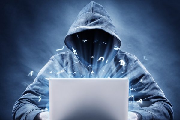 Только через тор кракен новости спорта