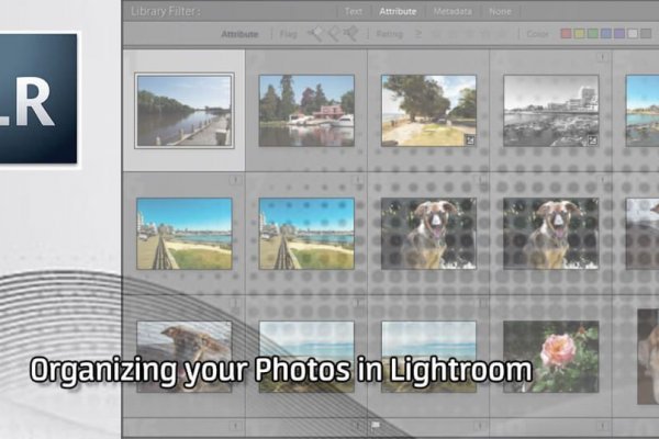 Кракен тор спортивный портал