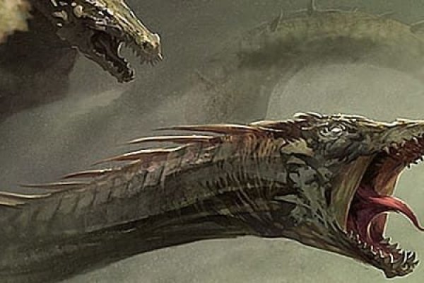 Krab9 at новости спорта