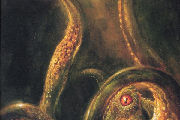 Зайти на кракен новости спорта