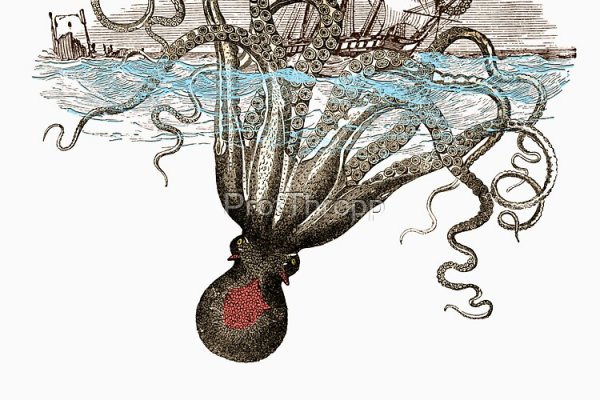 Кракен актуальное зеркало трансляции онлайн