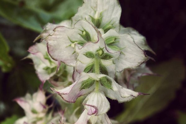 Krab5 at новости спорта онлайн