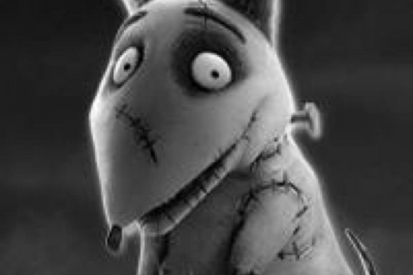 Как войти в kraken спортивный портал