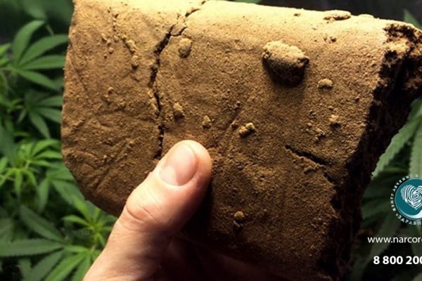 Кракен сайт новости спорта онлайн