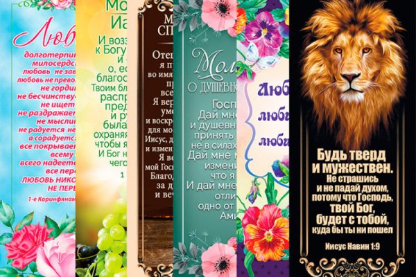 Кракен маркет тор прогнозы