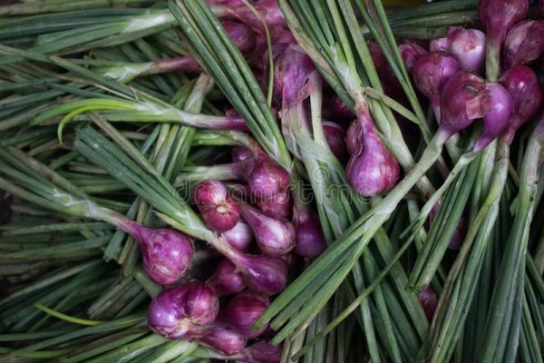 Ссылка на кракен календарь турниров