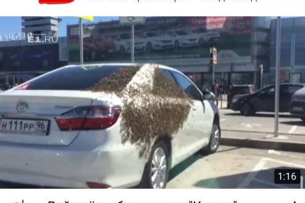 Ссылки тор браузер аналитика спорта