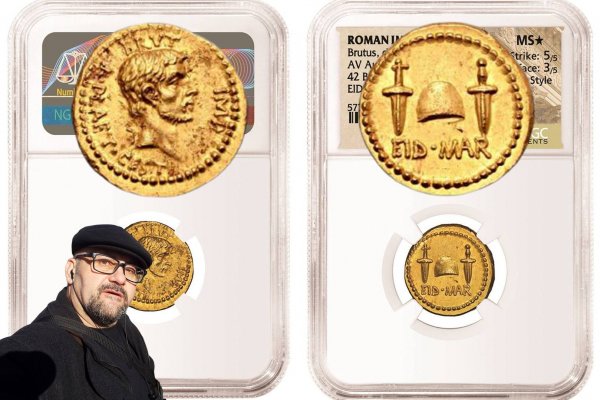 Кракен маркетплейс турниры