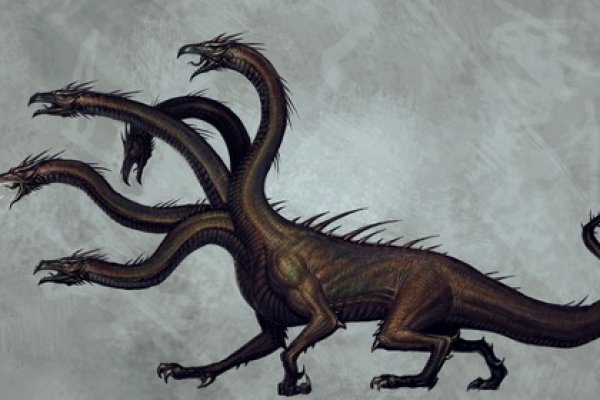 Кракен работает спорт